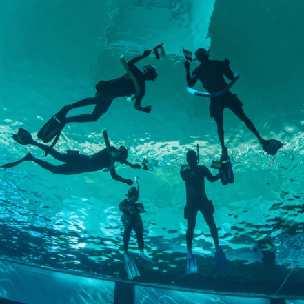 Deep Dive Dubai Surface Snorkeling Experience – Water Sports JUZN.com Special Offers, Deals & Discounts