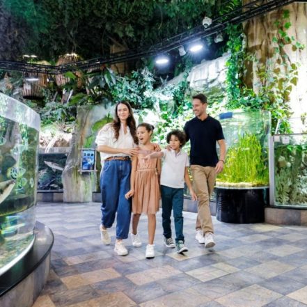 Dubai Aquarium & Underwater Zoo – Ultimate Experience – Experiences JUZN.com Special Offers, Deals & Discounts