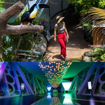 Dubai Frame + The Green Planet Dubai – Combo – Must-see attractions JUZN.com Special Offers, Deals & Discounts