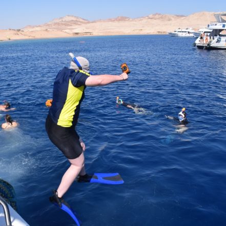 Half-day Snorkeling Boat trip with lunch and drinks from Sharm El Sheikh – Sightseeing and Tours JUZN.com Special Offers, Deals & Discounts