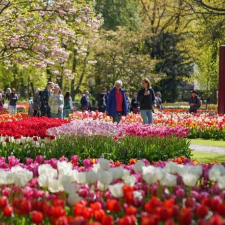Keukenhof Gardens with transport – Recently Added Experiences JUZN.com Special Offers, Deals & Discounts