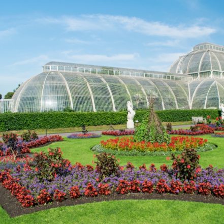 Kew Gardens Entry Ticket – Recently Added Experiences JUZN.com Special Offers, Deals & Discounts