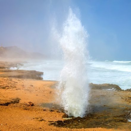 Salalah: Full-Day Beach Escapade Al Mughsail Beach & Fazayah Beach – Recently Added Experiences JUZN.com Special Offers, Deals & Discounts