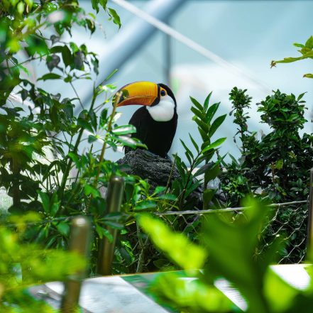 The Green Planet Dubai – Theme Parks JUZN.com Special Offers, Deals & Discounts